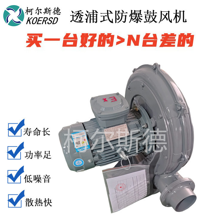 防爆透浦式鼓风机