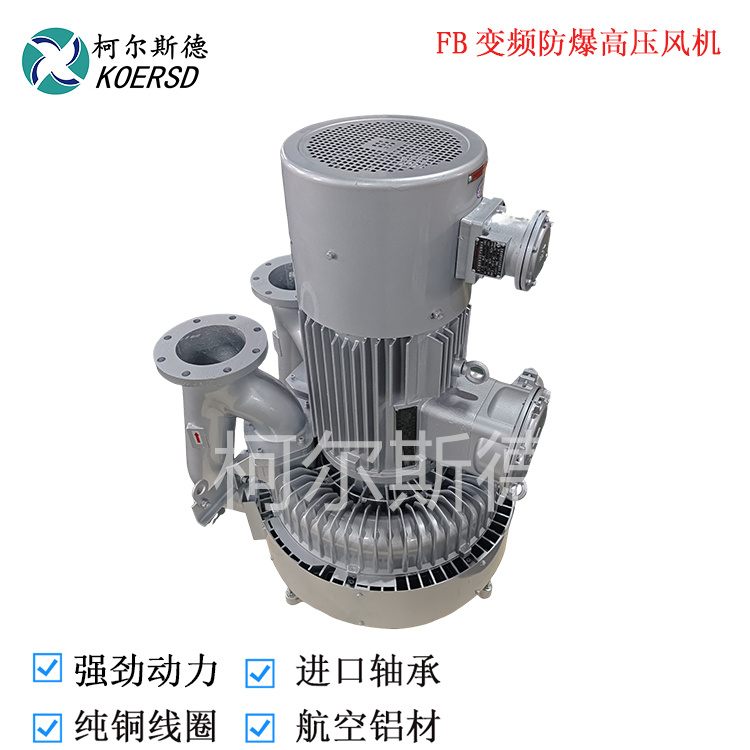 大风量变频防爆高压鼓风机