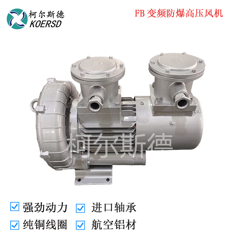 变频防爆高压鼓风机